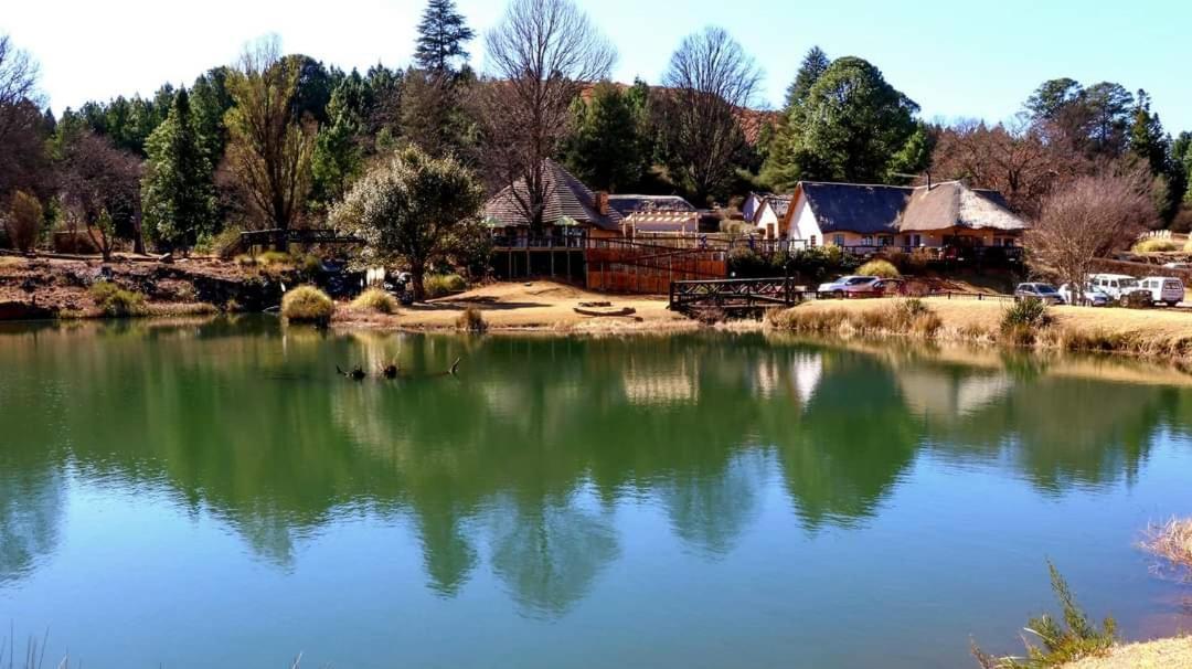 老孵化场住宿加早餐旅馆 KWAZULU NATAL 外观 照片